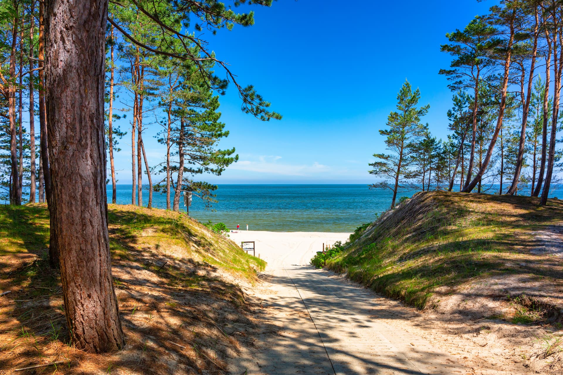 Piaszczysta plaża w Stegnie nad Bałtykiem w pobliżu obiektu — szeroki pas piasku i morski krajobraz